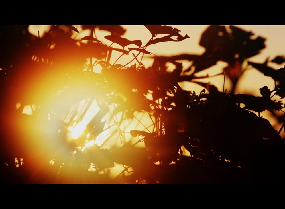 Sun Autumn Sunset Sky Shadow Sun Autumn Sunset Sky Shadow