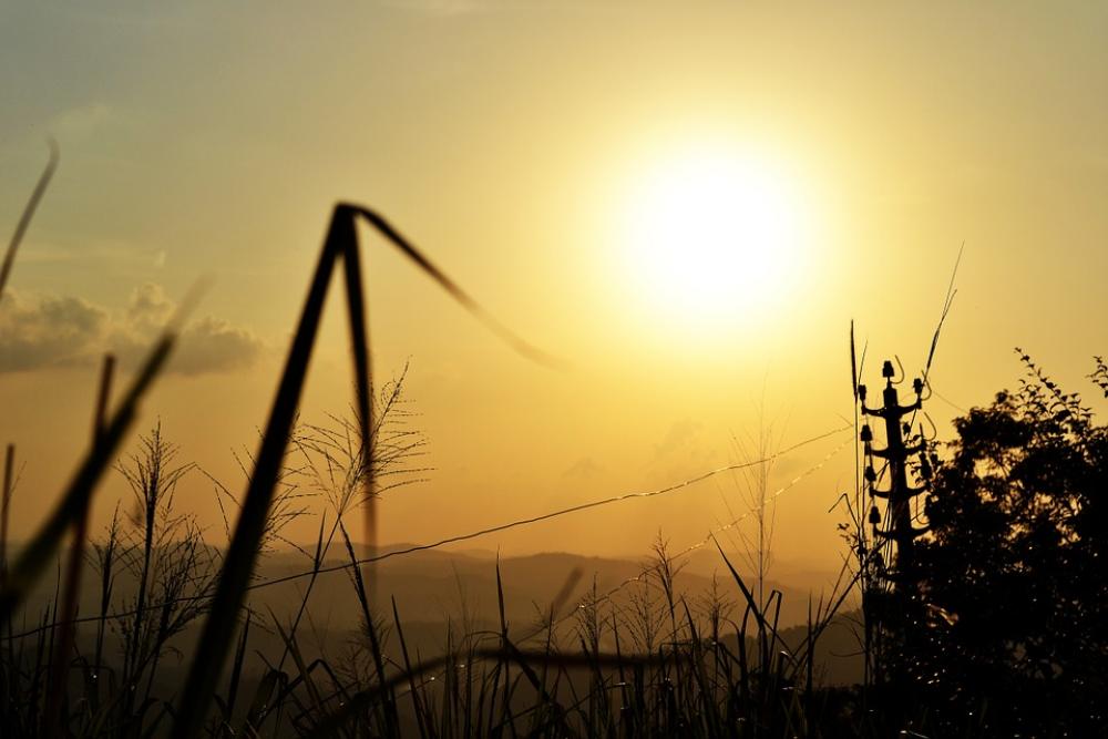 Sun Set Plant Nature Grass Trees Sun Bright Sky Sun Set Plant Nature Grass Trees Sun Bright Sky