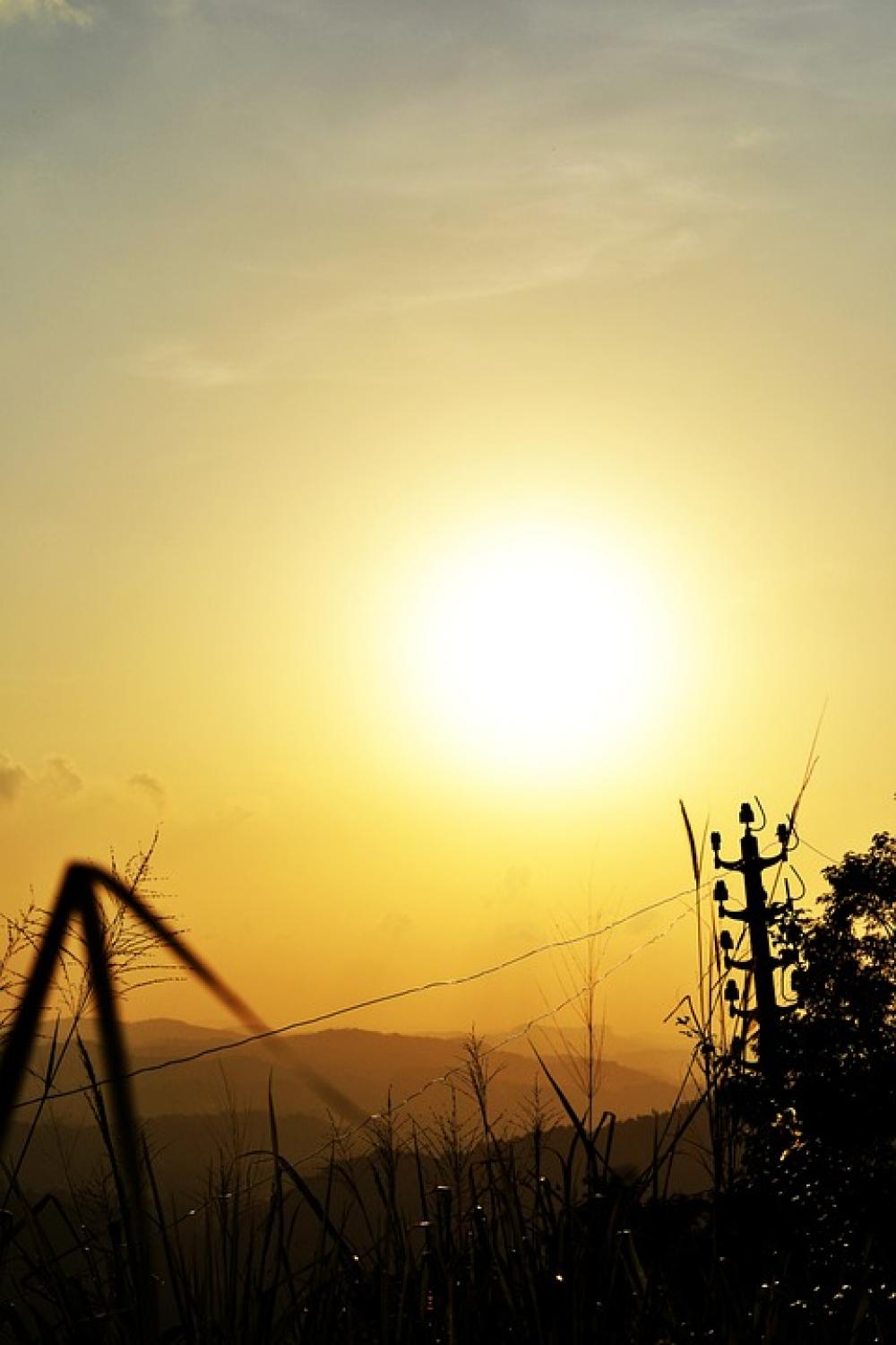 Sun Set Plant Nature Grass Trees Sun Bright Sky Sun Set Plant Nature Grass Trees Sun Bright Sky