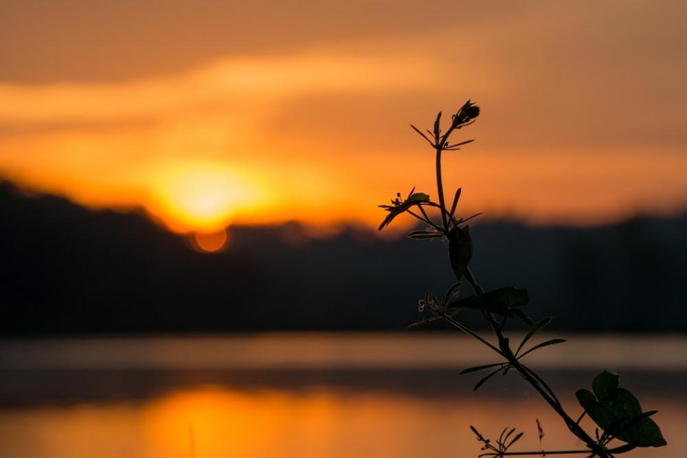 Sunrise Orange Clouds Sky Night Morning Spring Sunrise Orange Clouds Sky Night Morning Spring