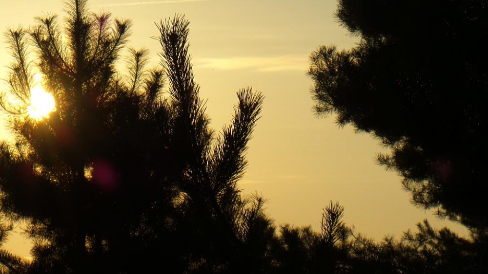 Sunrise Sky Morgenstimmung Skies Nature Sunrise Sky Morgenstimmung Skies Nature