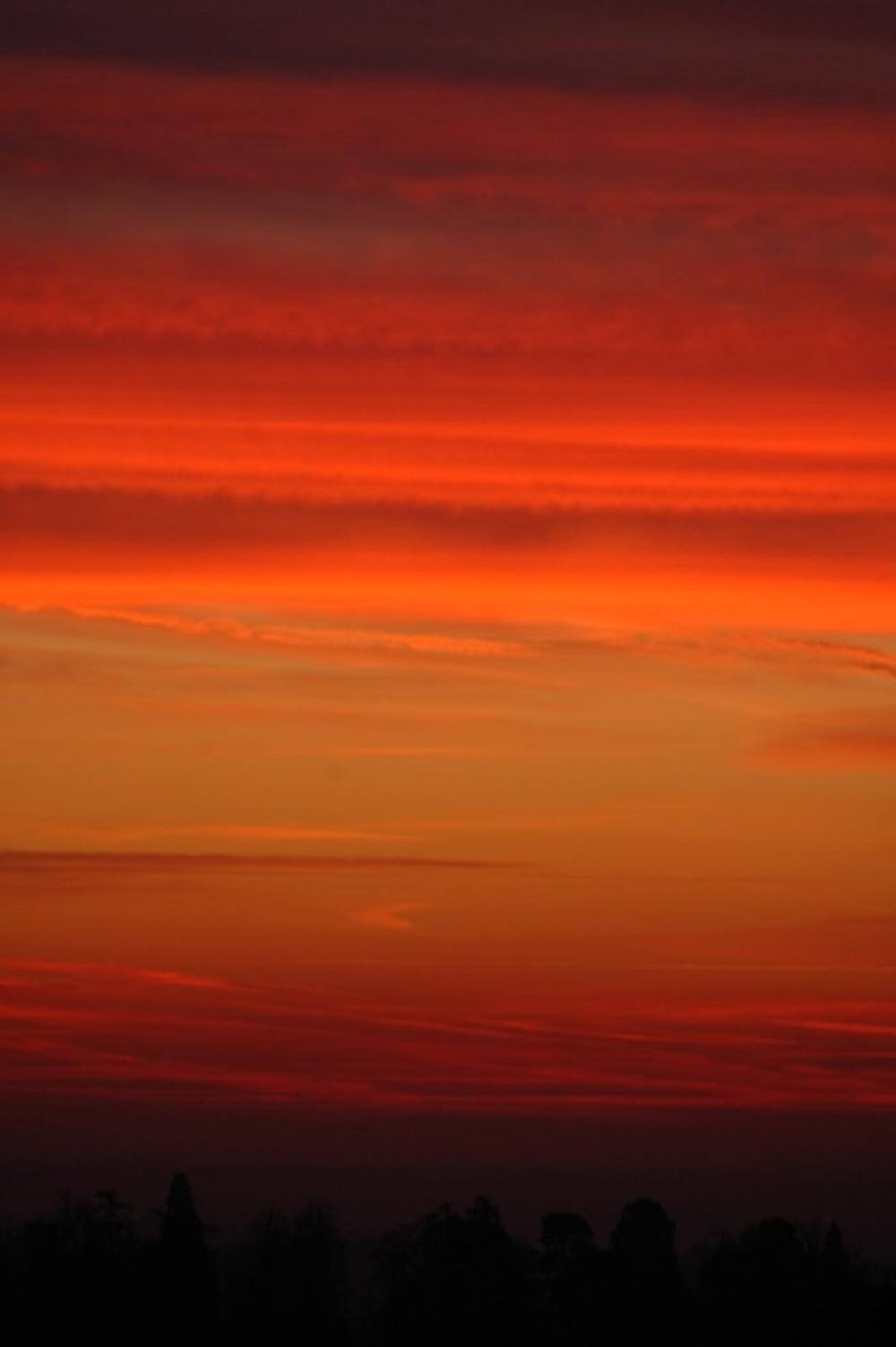 Sunrise Forest Minstead Red Orange Landscape Sunrise Forest Minstead Red Orange Landscape