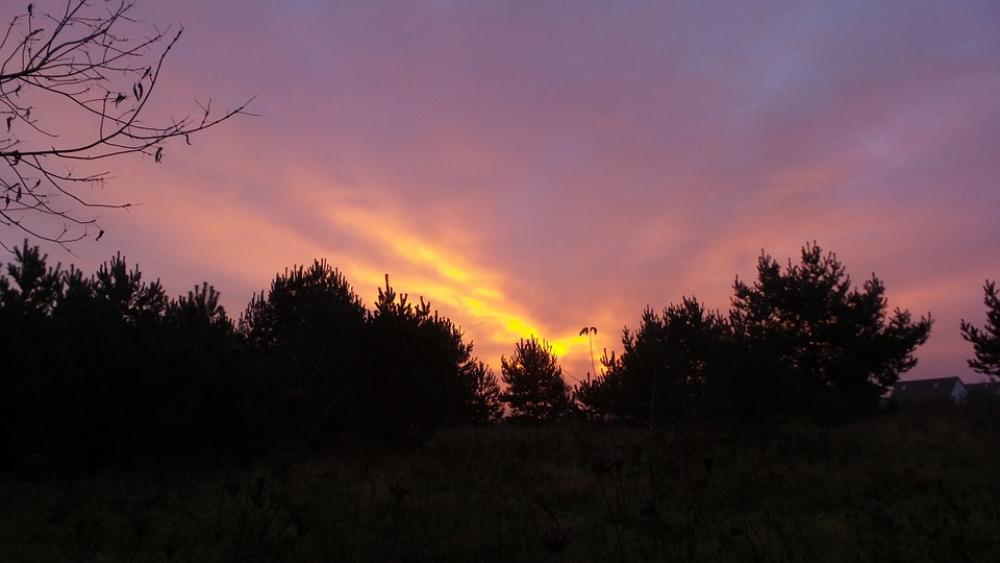 Sunrise Purple Skies Morgenstimmung Atmosphere Sunrise Purple Skies Morgenstimmung Atmosphere