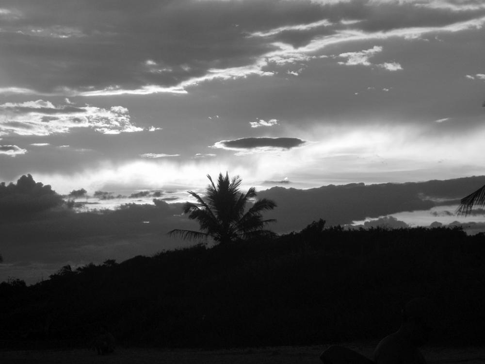 Sunset Coconut Trees Beira Mar Beach Sunset Coconut Trees Beira Mar Beach