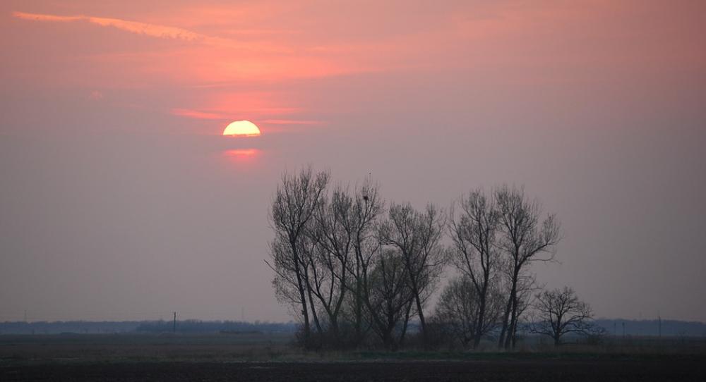 Sunset Color Cloud Wood Clump Sunset Color Cloud Wood Clump