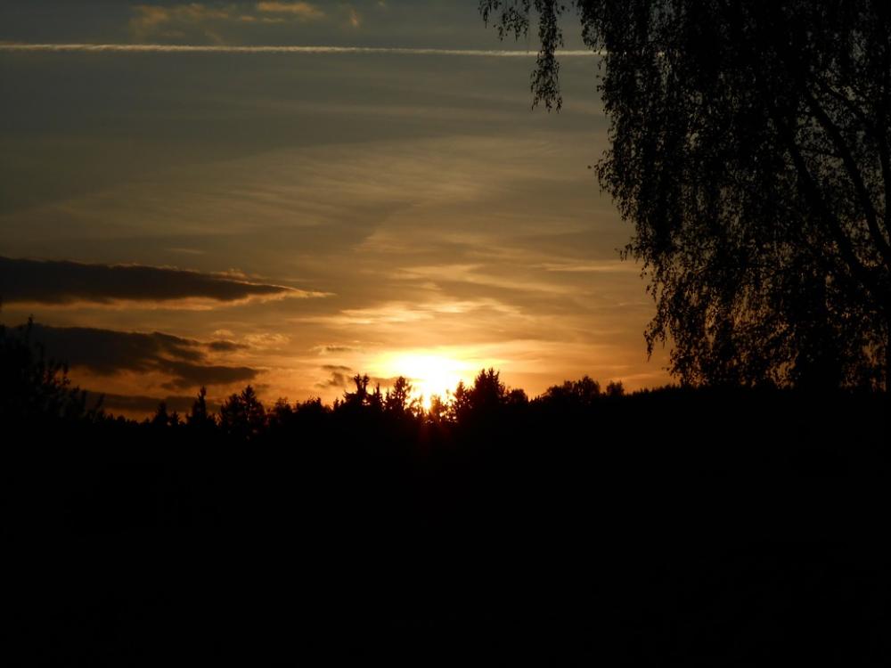Sunset Tree Horizon Sky Light Sun West Rays Sunset Tree Horizon Sky Light Sun West Rays