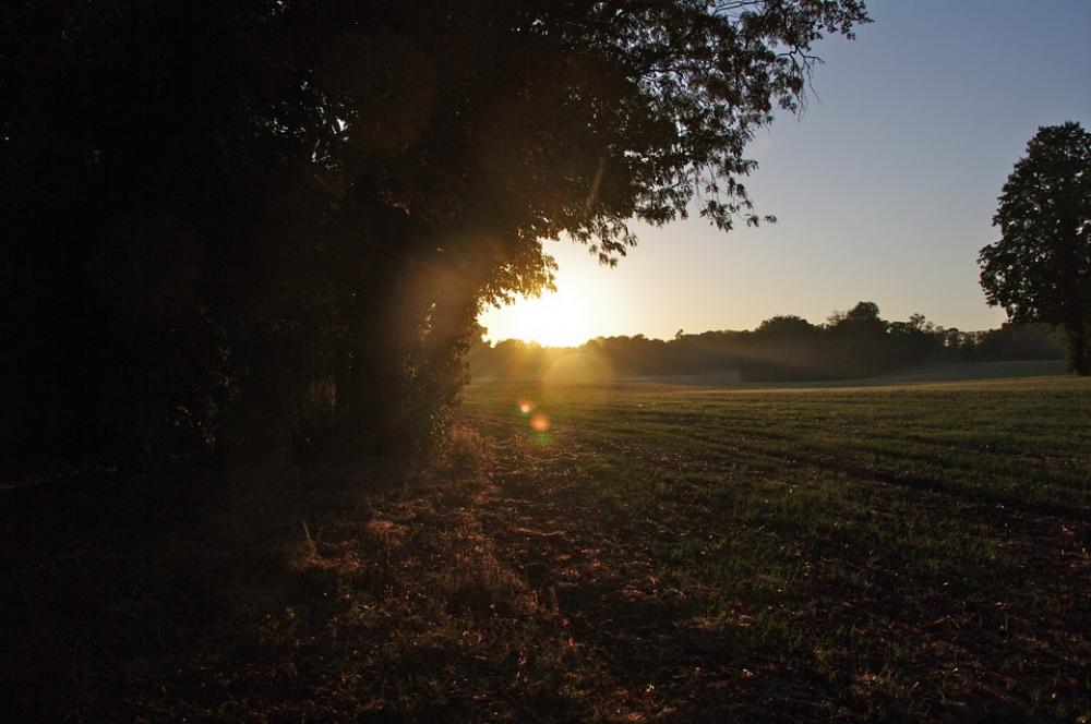 Sunset Sun Twilight Evening Sunset Sun Twilight Evening