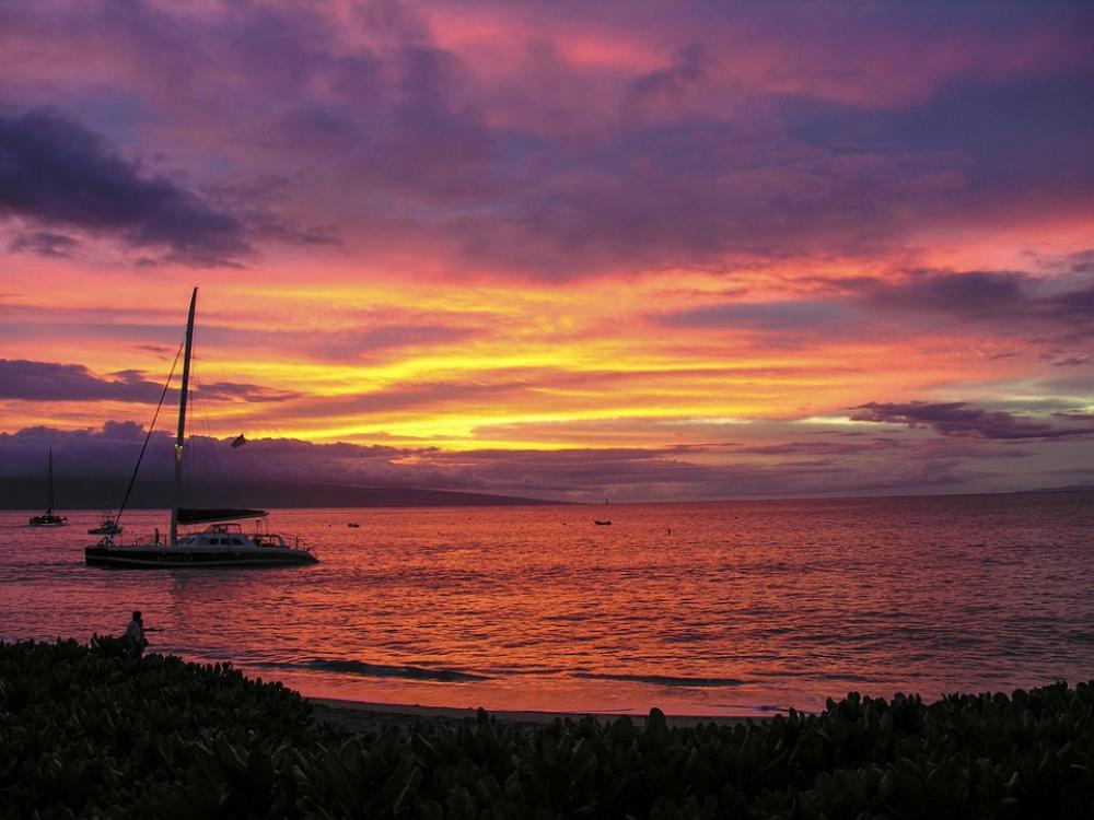 Sunset Seashore Beach Ocean Coast Sky Landscape Sunset Seashore Beach Ocean Coast Sky Landscape