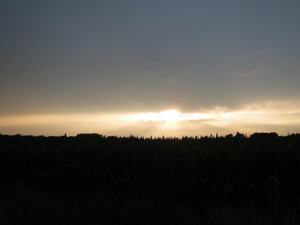 Sunset Netherlands Landscape Nature Air Sunset Netherlands Landscape Nature Air