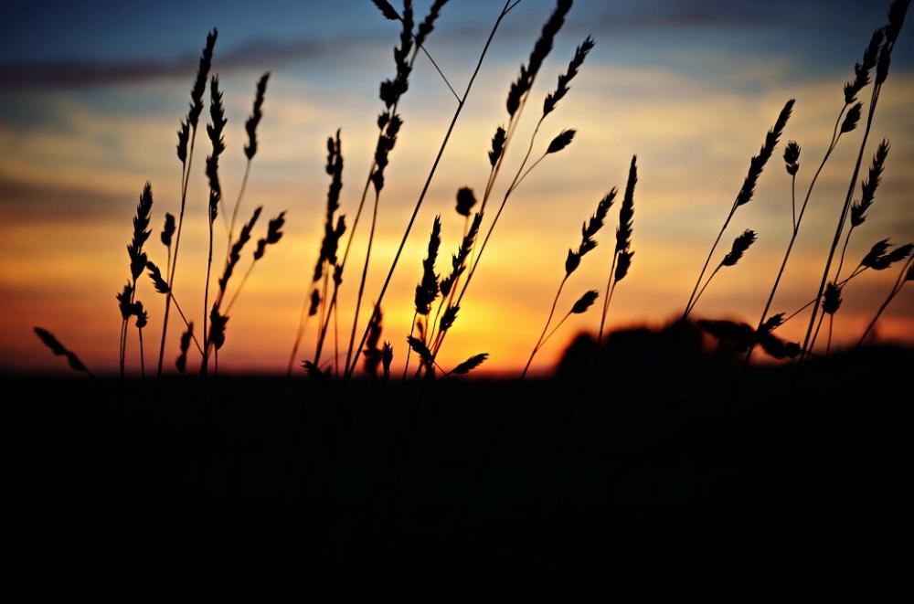 Sunset Landscape Nature Sunset Landscape Nature