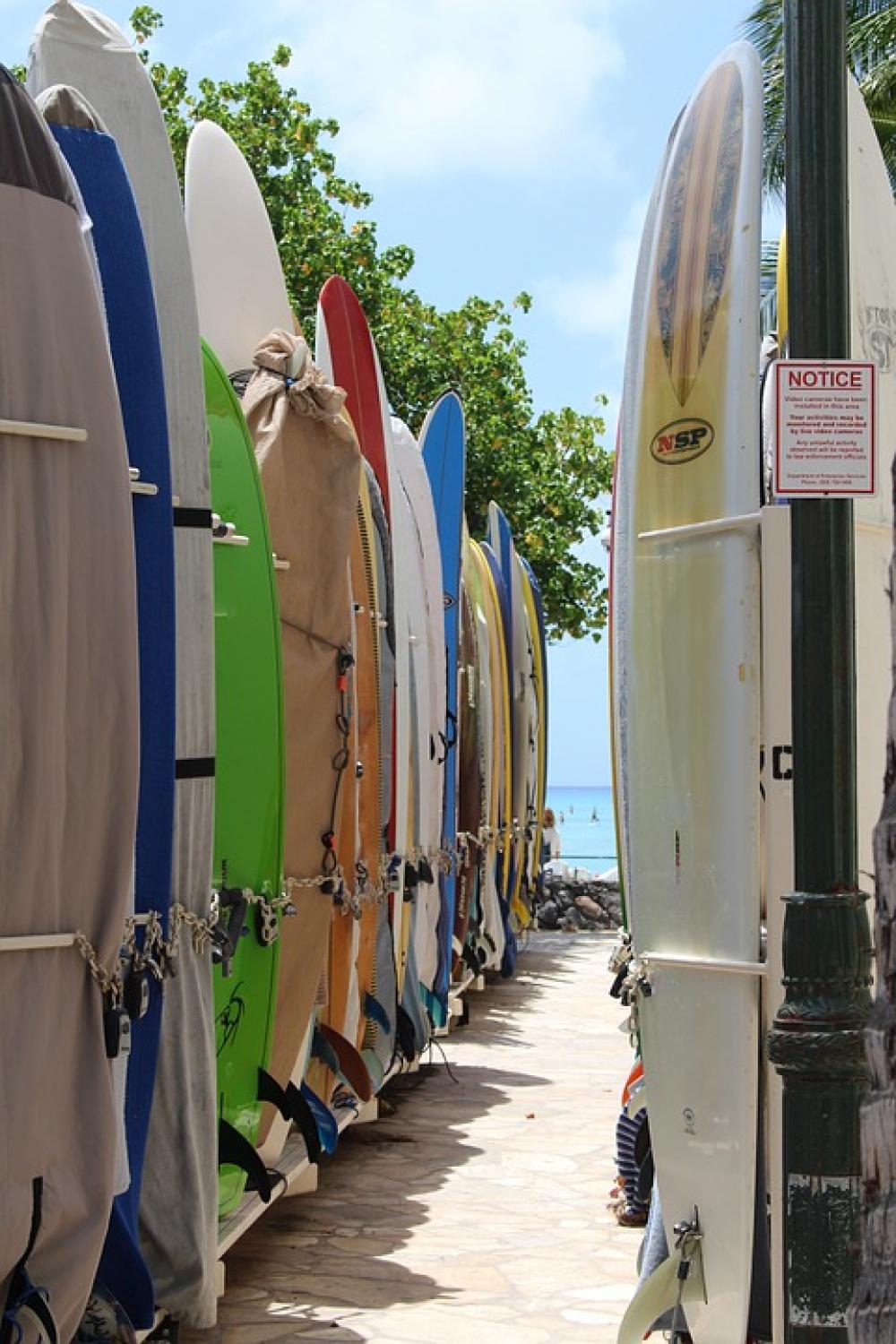 Surfboards Boards Beach Surfboard Surfer Sports Surfboards Boards Beach Surfboard Surfer Sports