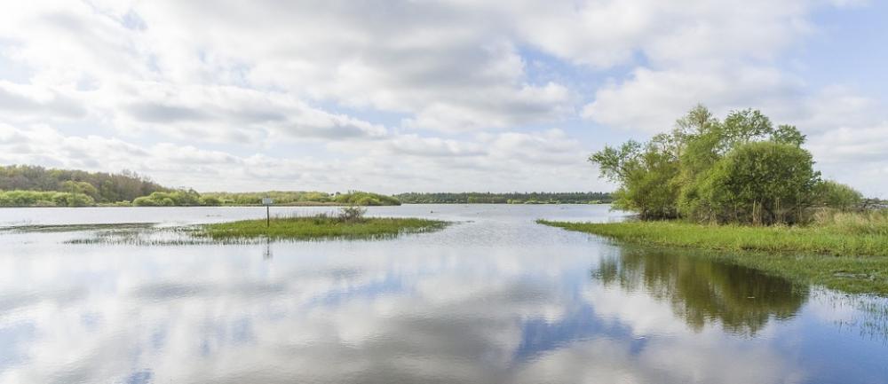 Swamp Loire Atlantique Panorama Swamp Loire Atlantique Panorama