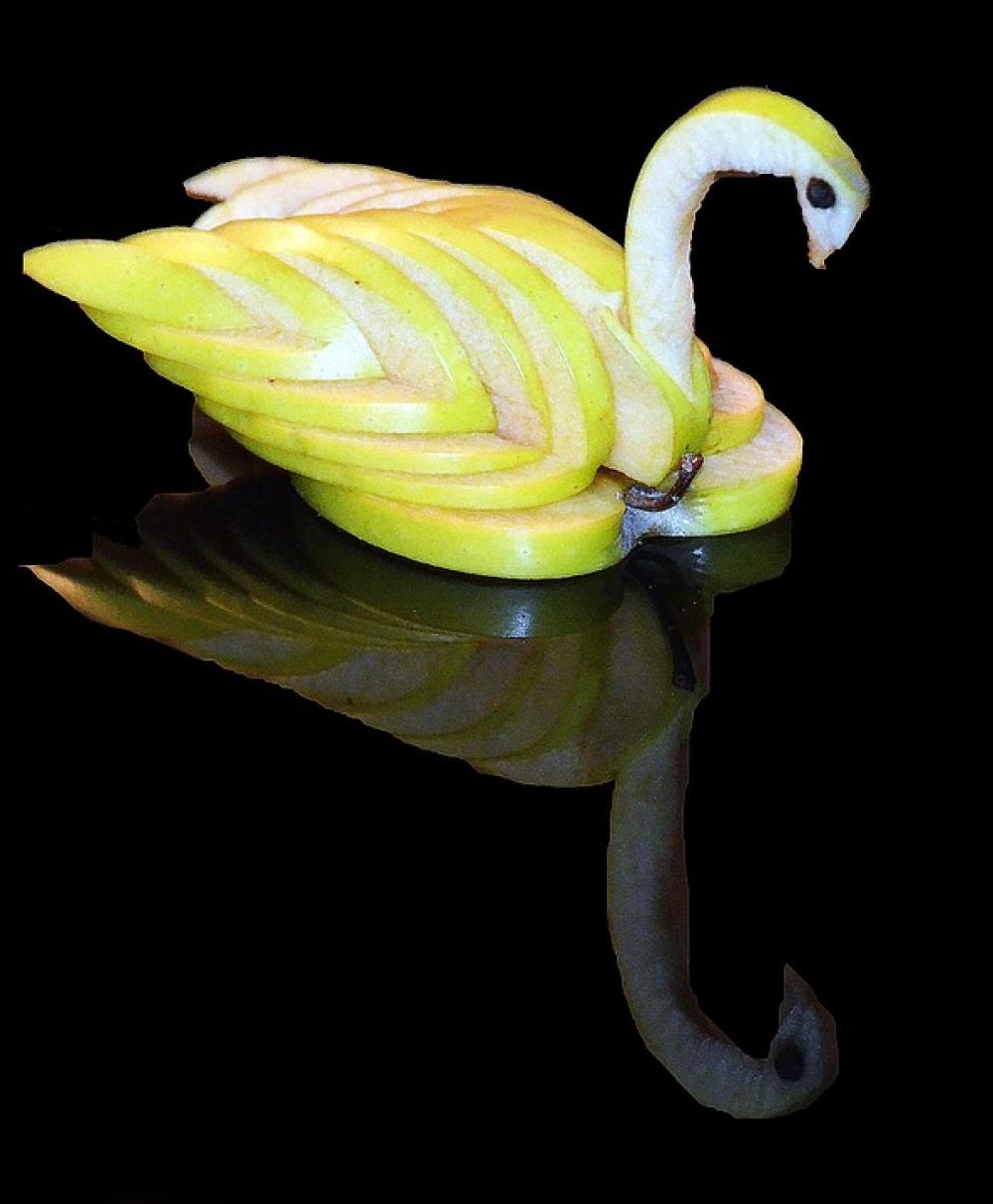 Swan Apple Creative Swan Apple Creative