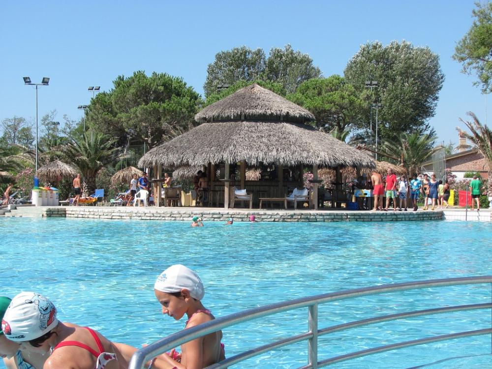 Swimming Pool Water Swim Outdoor Pool Leisure Bar Swimming Pool Water Swim Outdoor Pool Leisure Bar