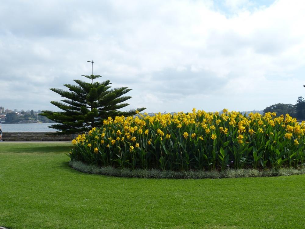 Sydney Australia Botanical Garden Park Botanical Sydney Australia Botanical Garden Park Botanical