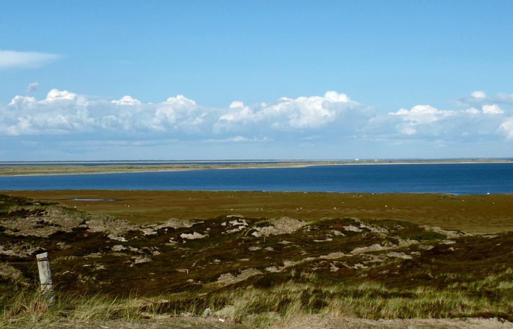 Sylt Elbow Beach Sand Sea North Sea Summer Sylt Elbow Beach Sand Sea North Sea Summer
