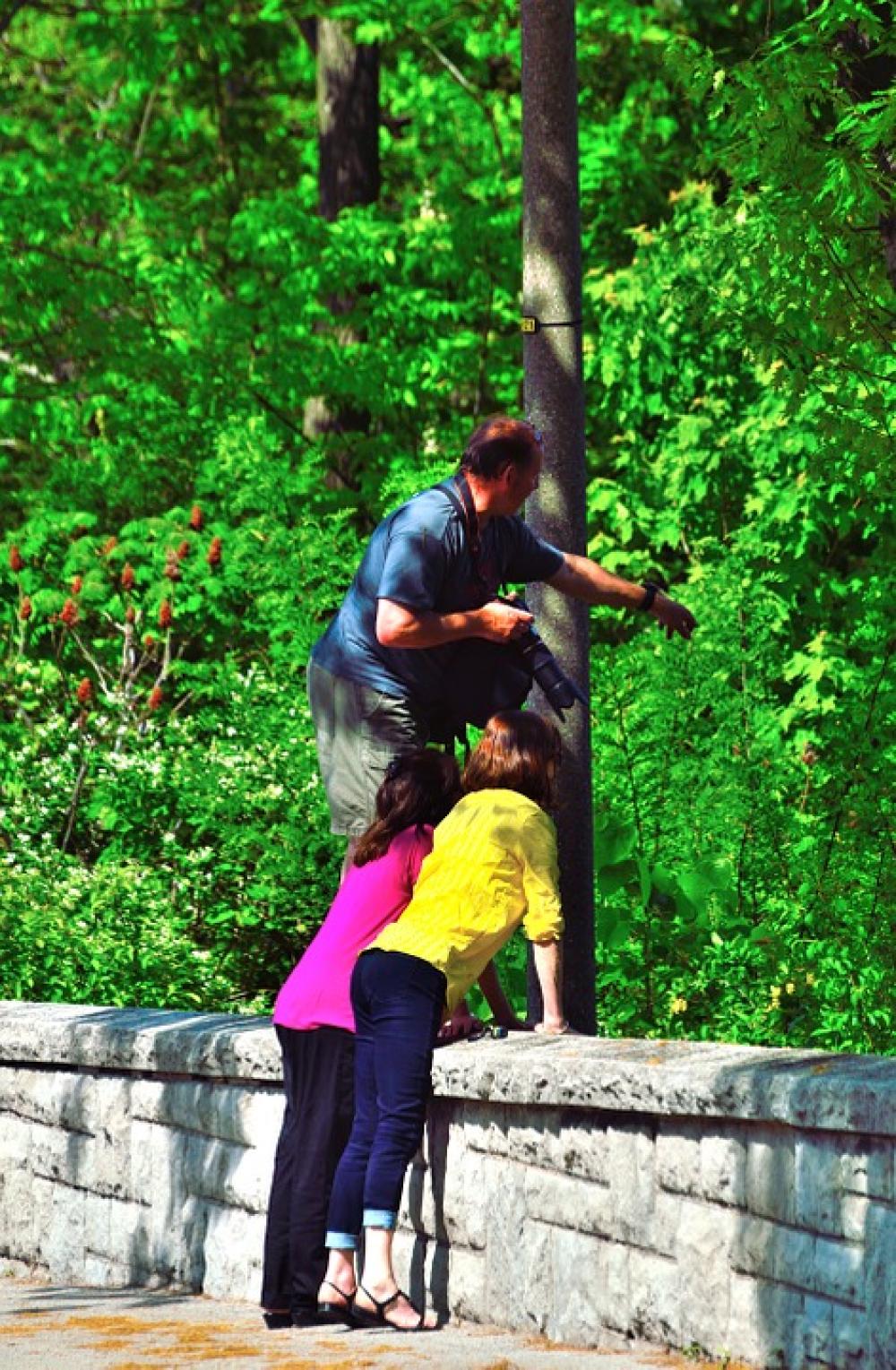 Taking Picture Camera Photo Shooting Photographer Taking Picture Camera Photo Shooting Photographer