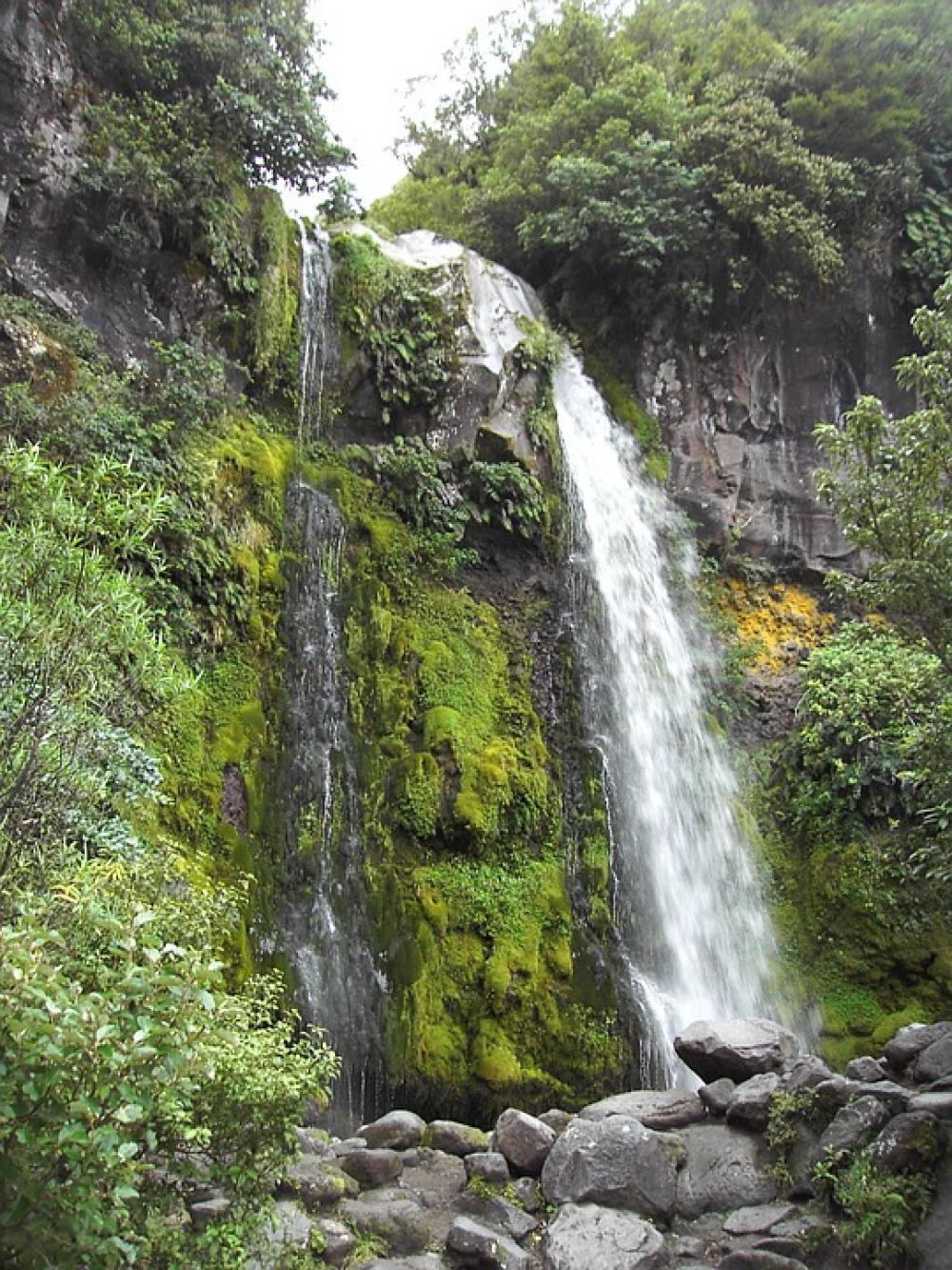 Tasmania Waterfall Australia Water Nature Tasmania Waterfall Australia Water Nature