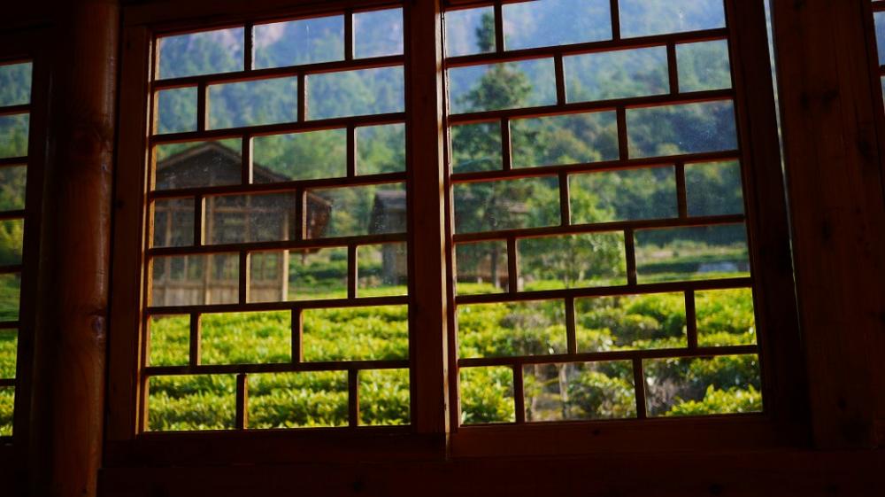 Tea House Window Green Tea House Window Green