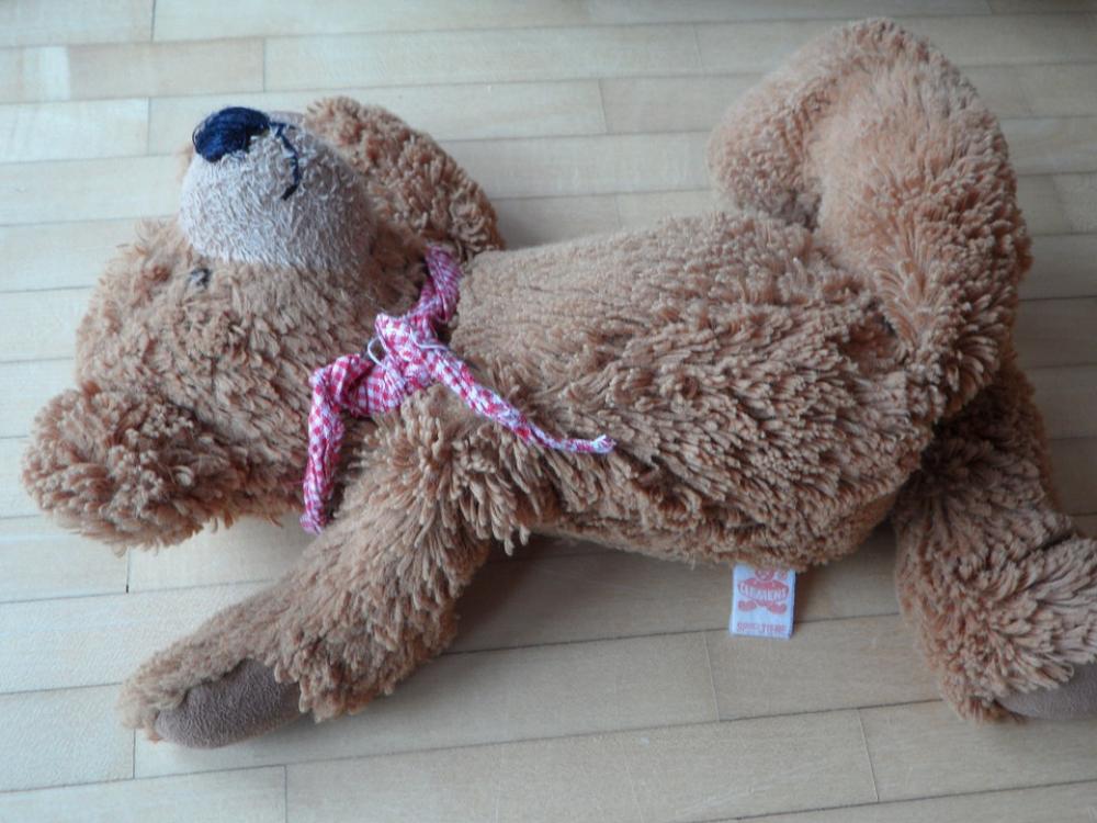 Teddy Careless Thrown Away Leave Lonely Sad Teddy Careless Thrown Away Leave Lonely Sad
