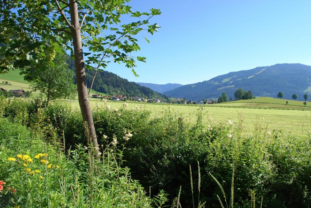 The Alps Mountain Creek Austria Europe Scene The Alps Mountain Creek Austria Europe Scene