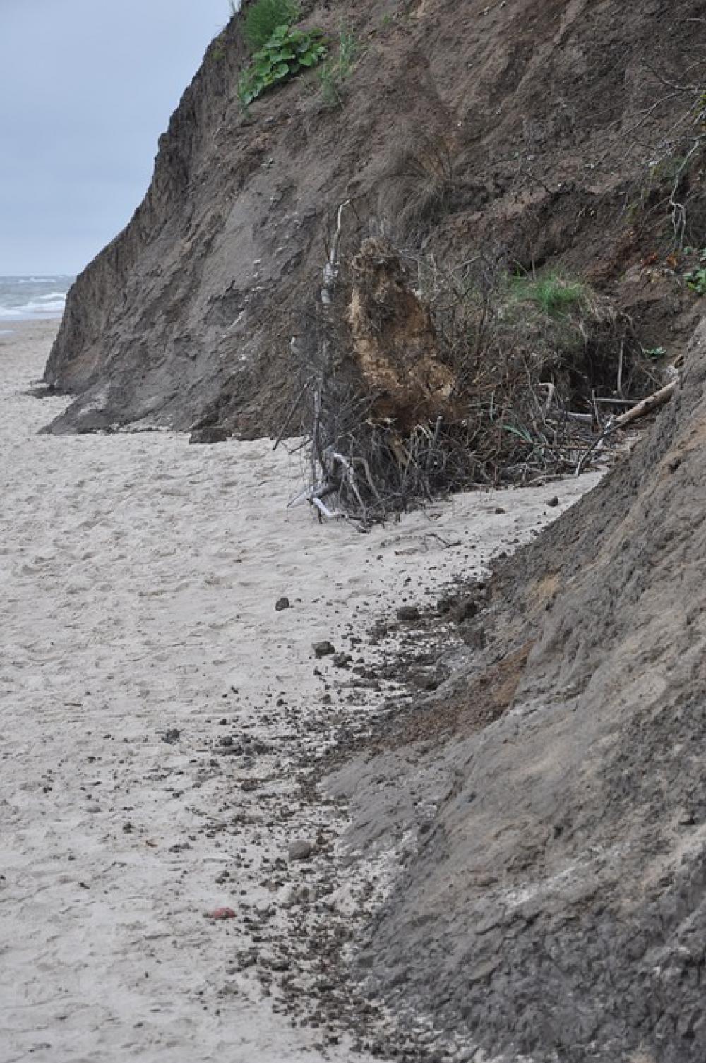 The Coast Cliff Beach Sea The Roots Of The The Coast Cliff Beach Sea The Roots Of The