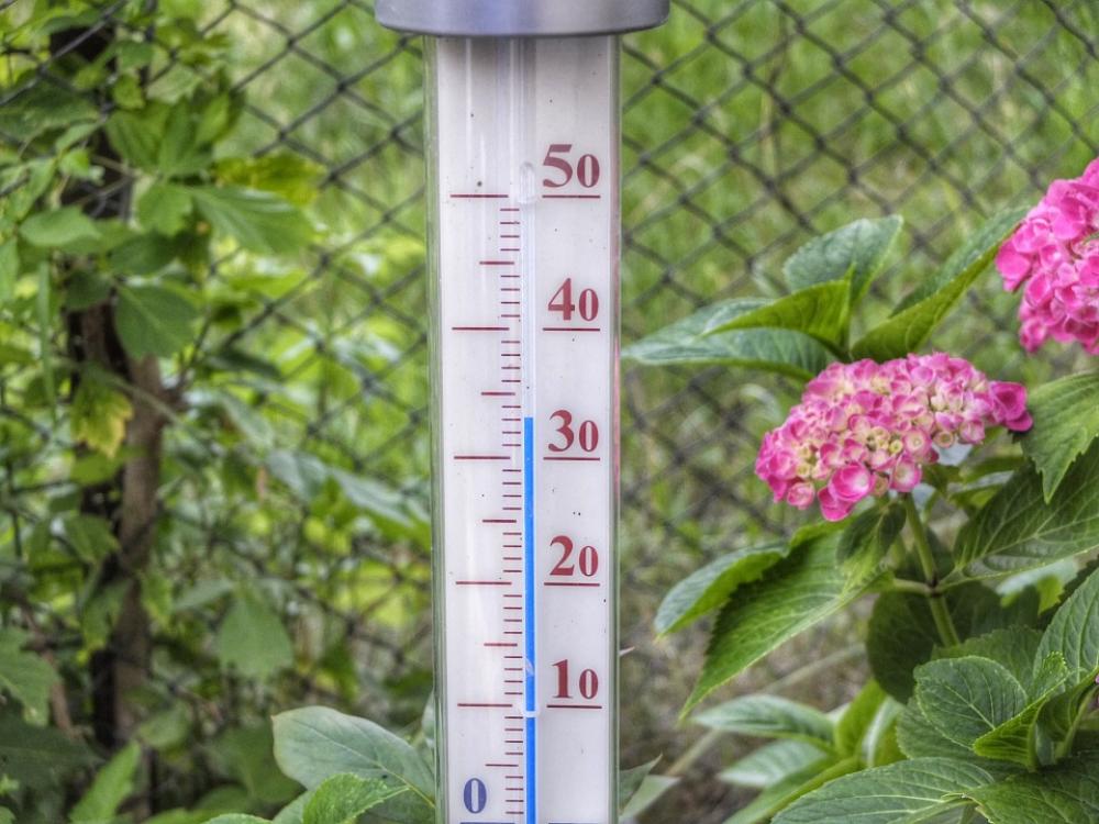 Thermometer Heat Wave Warm Thermometer Heat Wave Warm