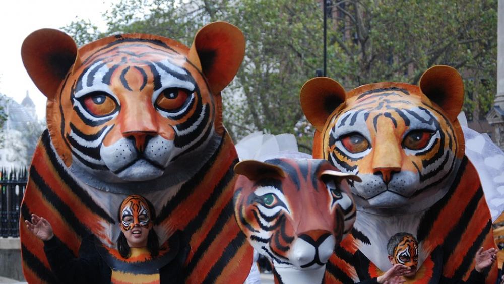 Tiger Mask Costume Parade Face Cat Face Carnival Tiger Mask Costume Parade Face Cat Face Carnival