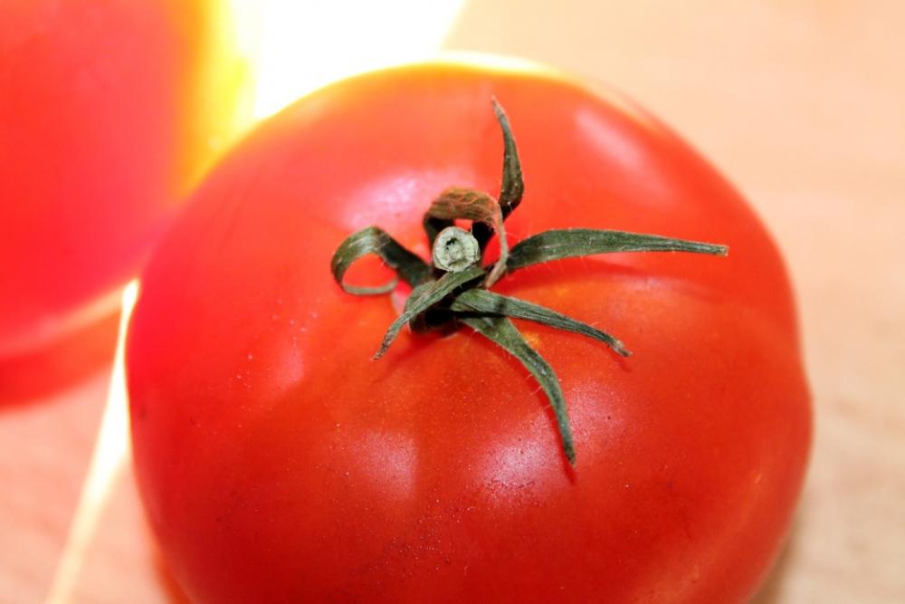 Tomato Vegetables Red Food Tomato Vegetables Red Food