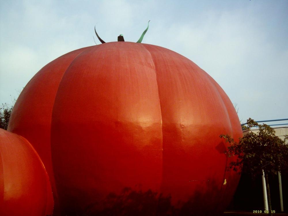 Tomato Red Food Model Tomato Red Food Model