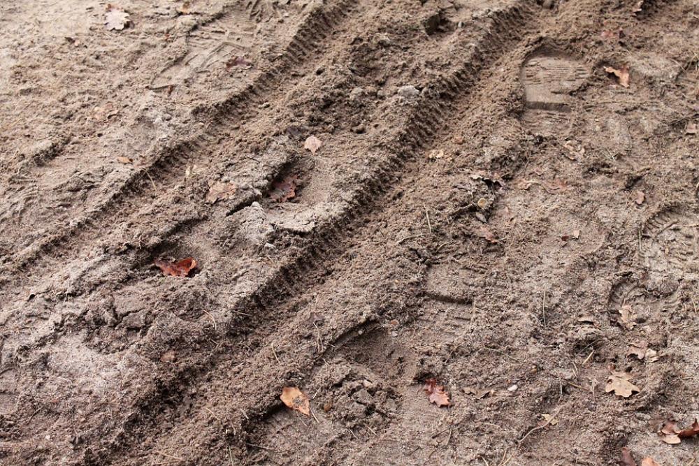 Traces Sand Bike Tracks Footprints Reprint Traces Sand Bike Tracks Footprints Reprint