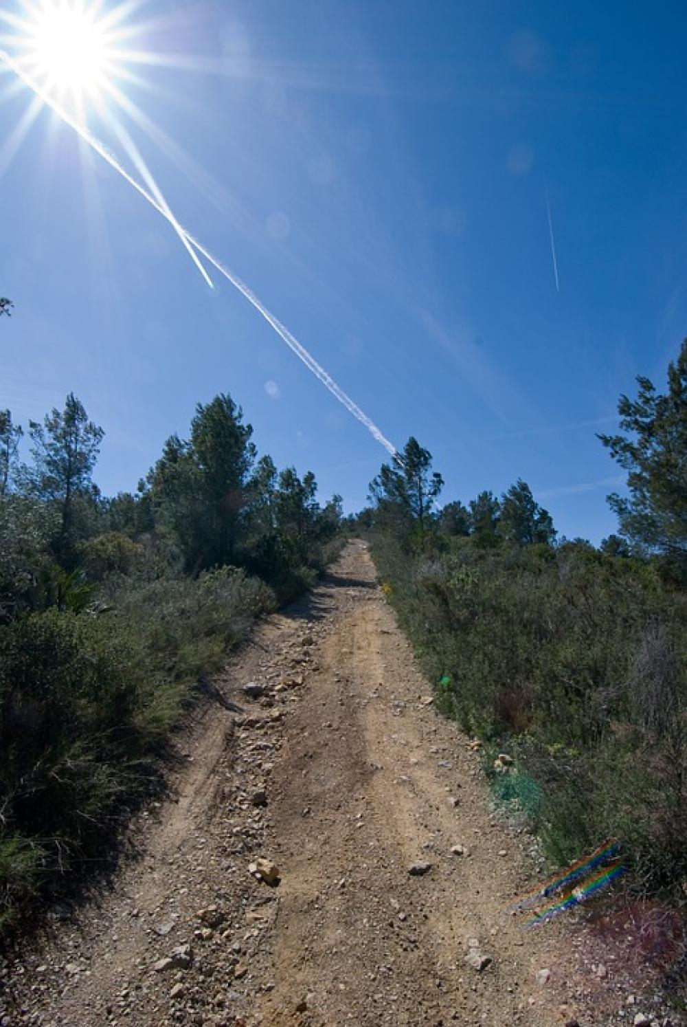 Trail Track Sun Sky Nature Summer Outdoor Path Trail Track Sun Sky Nature Summer Outdoor Path