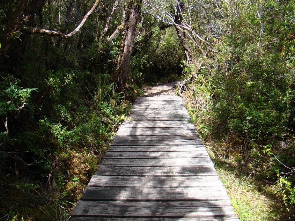 Trail Path Landscape Trail Path Landscape