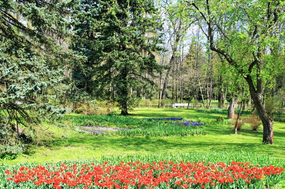 Trees Grass Green Flowers Red Garden Estate Trees Grass Green Flowers Red Garden Estate