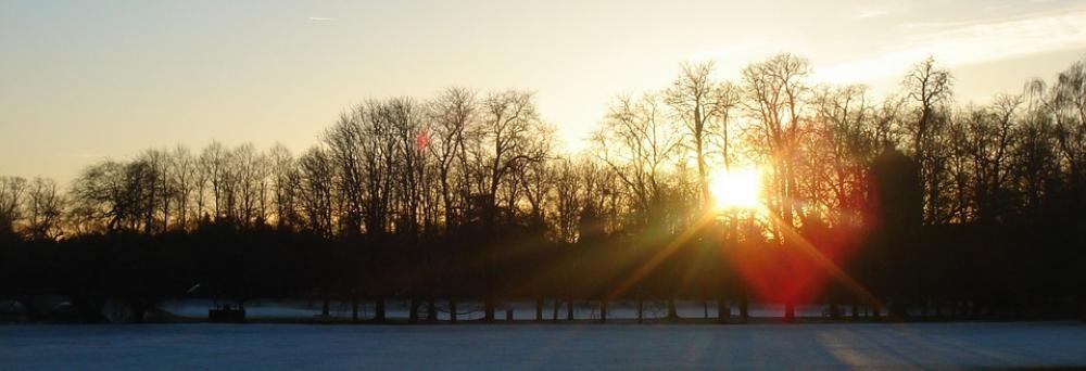 Trees Sunset Winter Season Evening Silhouette Trees Sunset Winter Season Evening Silhouette
