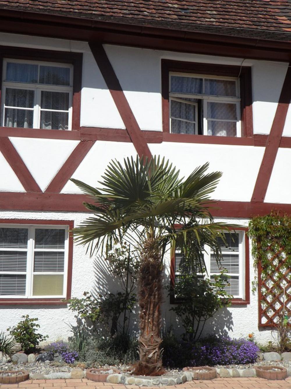 Truss Fachwerkhaus Hagnau Mediterranean Truss Fachwerkhaus Hagnau Mediterranean