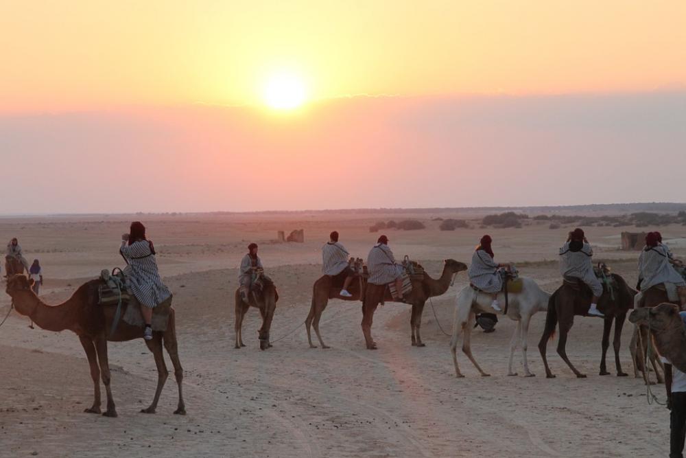 Tunis Camels Sahara Sky Desert Sunset Tourists Tunis Camels Sahara Sky Desert Sunset Tourists