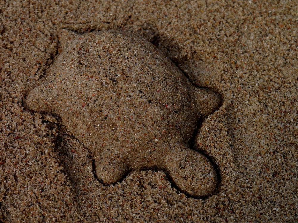 Turtle Sand Mold Sand Animal Play Turtle Sand Mold Sand Animal Play
