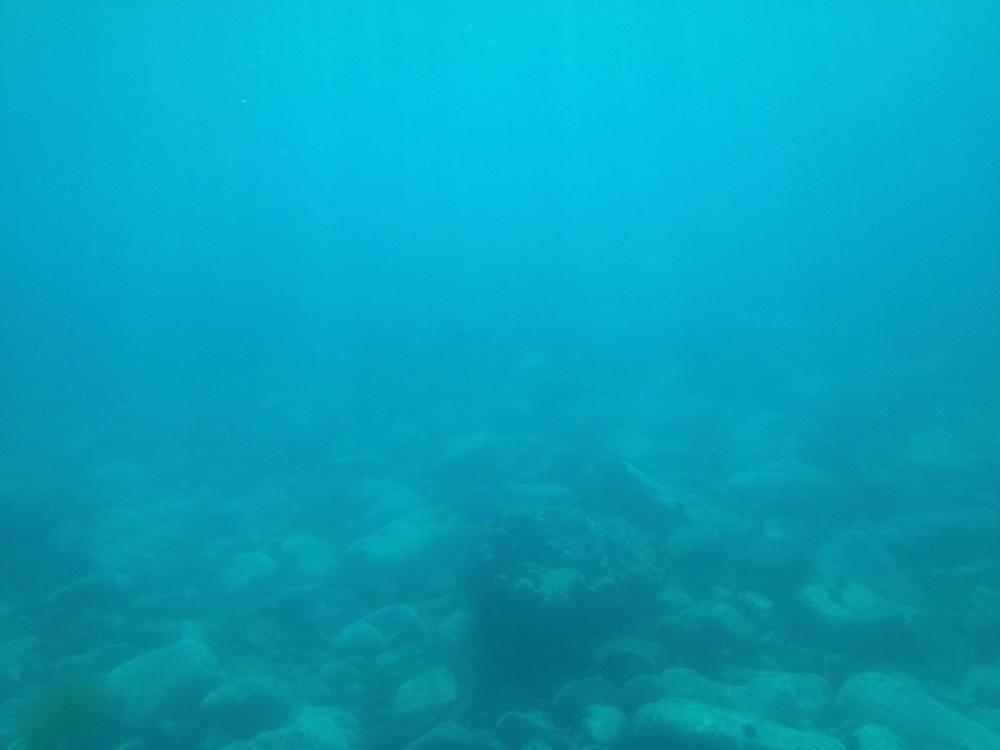 Underwater Ocean Swim Divers Sea Swimming Water Underwater Ocean Swim Divers Sea Swimming Water