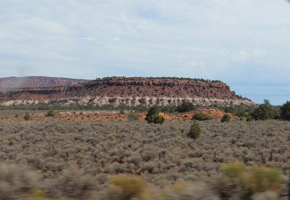 Usa Desert Arizona Landscape Usa Desert Arizona Landscape