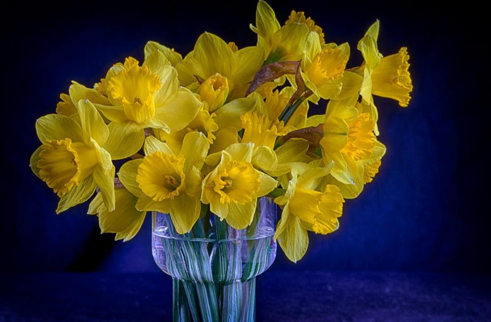 Vase Flowers Bouquet Daffodils Yellow Vase Flowers Bouquet Daffodils Yellow