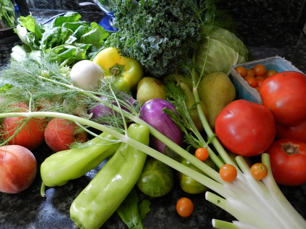 Vegetables Fruit Fresh Cabbage Food Healthy Vegetables Fruit Fresh Cabbage Food Healthy