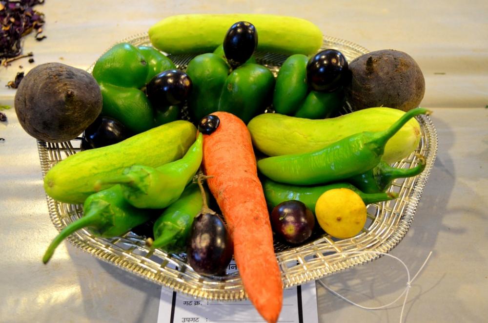 Veggies Carrot Vegetarian Vegetables Healthy Food Veggies Carrot Vegetarian Vegetables Healthy Food