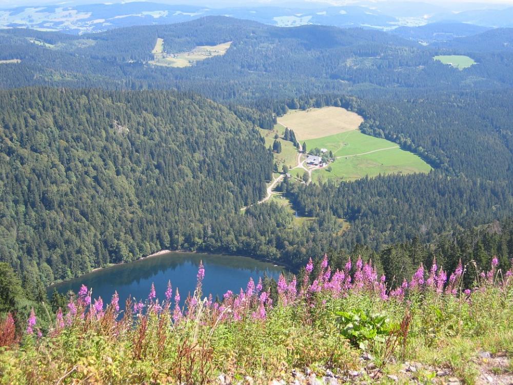 View Outlook Wide Far Black Forest Feldberg Lake View Outlook Wide Far Black Forest Feldberg Lake