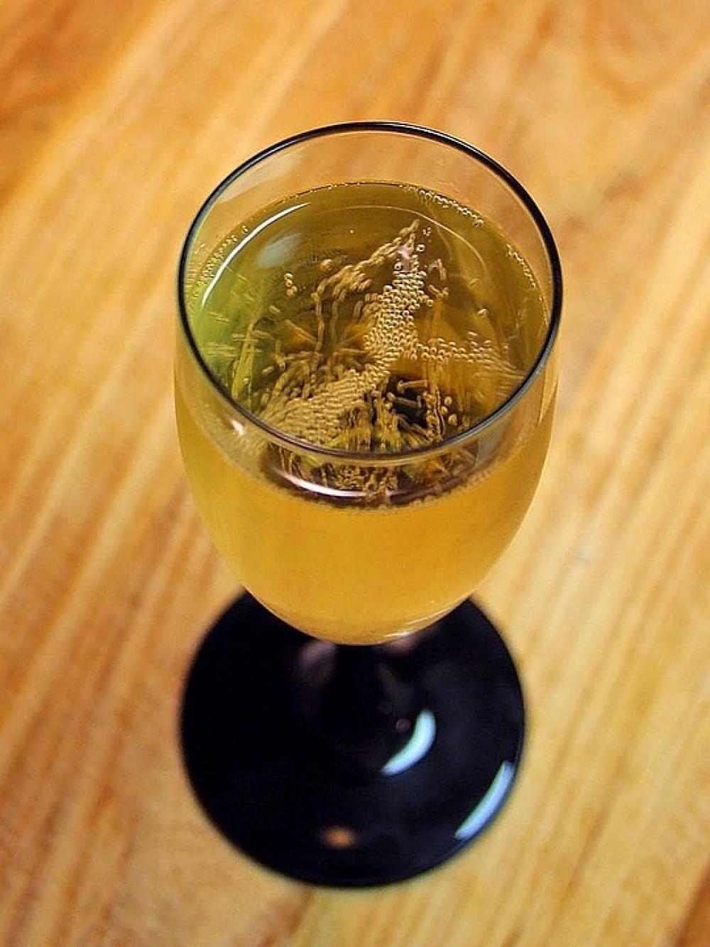 Vine Champagne Wine Drink Food Vine Champagne Wine Drink Food