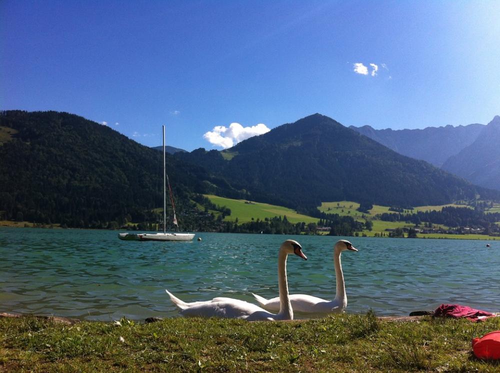 Walchsee Lake Austria Landscape Sky Nature Walchsee Lake Austria Landscape Sky Nature