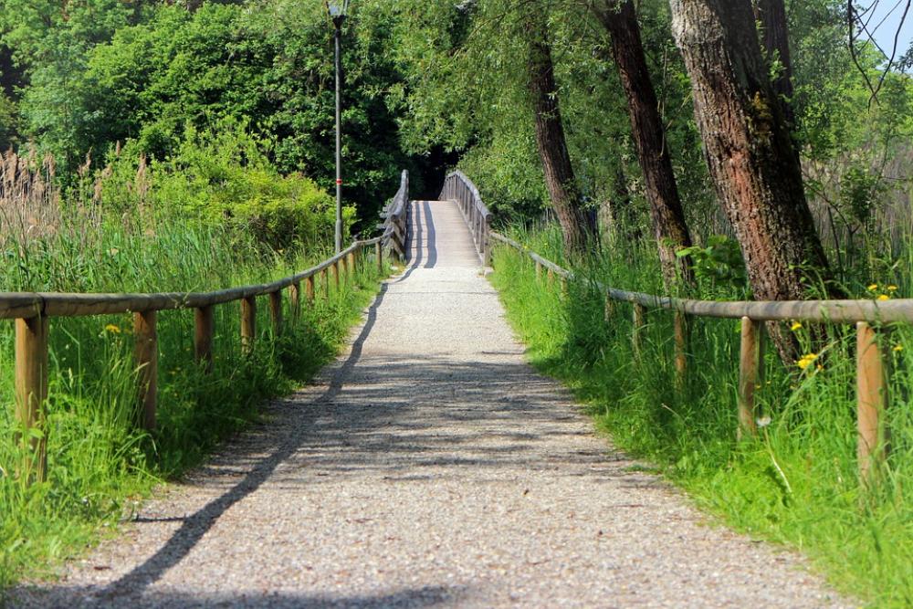 Walk Away Bridge Transition Wood Wooden Bridge Walk Away Bridge Transition Wood Wooden Bridge