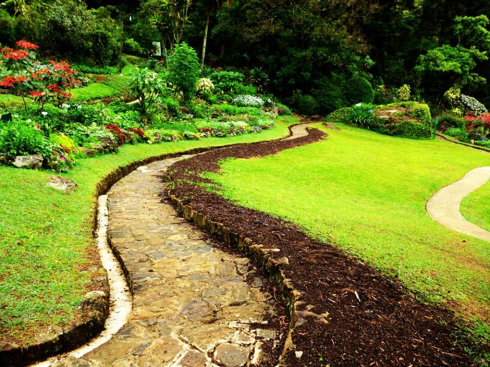 Walkway Footpath Sri Lanka Green Grass Nature Walkway Footpath Sri Lanka Green Grass Nature