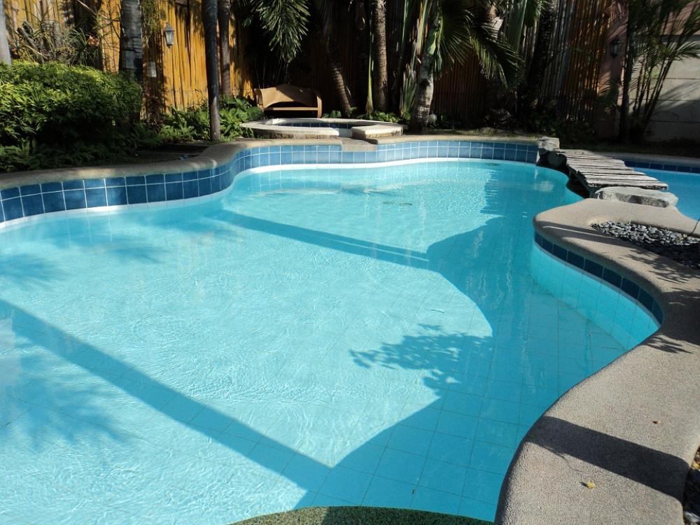 Water Clear Water Pool Curve Place Object Liquid Water Clear Water Pool Curve Place Object Liquid