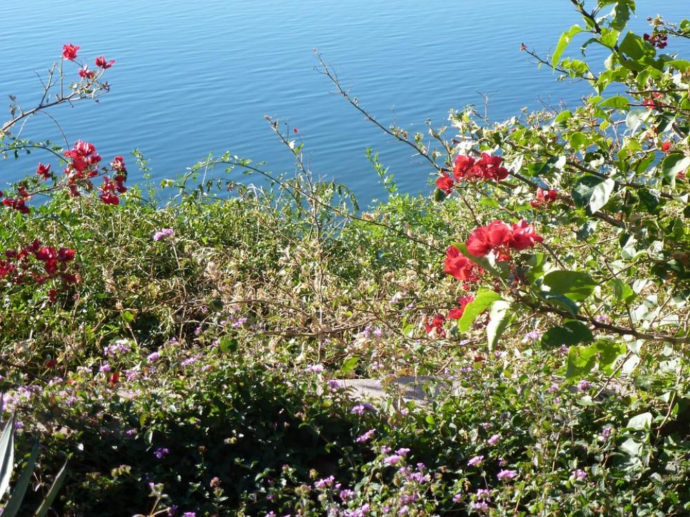 Water Ocean Shoreline Nature Pacific Sea Water Ocean Shoreline Nature Pacific Sea